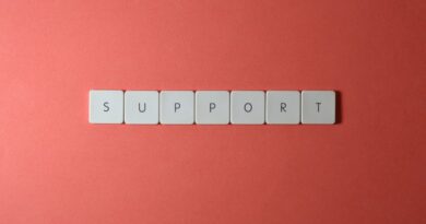 Building a Supportive Art Network