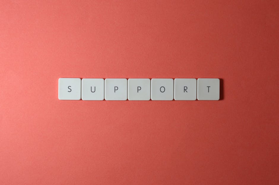 Building a Supportive Art Network
