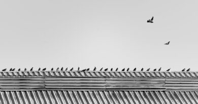 Creating Memorable Art Through Repetition