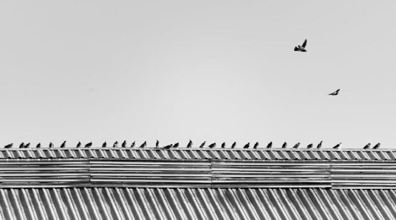 Creating Memorable Art Through Repetition